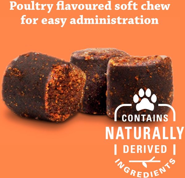 Show full view: Synovi G4 Dog Joint Supplement Chews for Dogs, 120 count slide 4 of 6