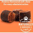Show in main carousel: Synovi G4 Dog Joint Supplement Chews for Dogs, 120 count slide 4 of 6