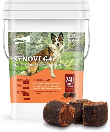 Synovi chews hot sale for dogs