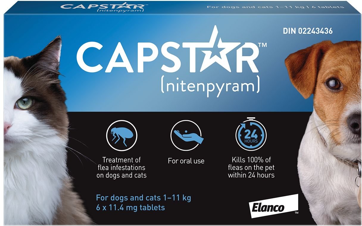 Capstar for 2024 cats age