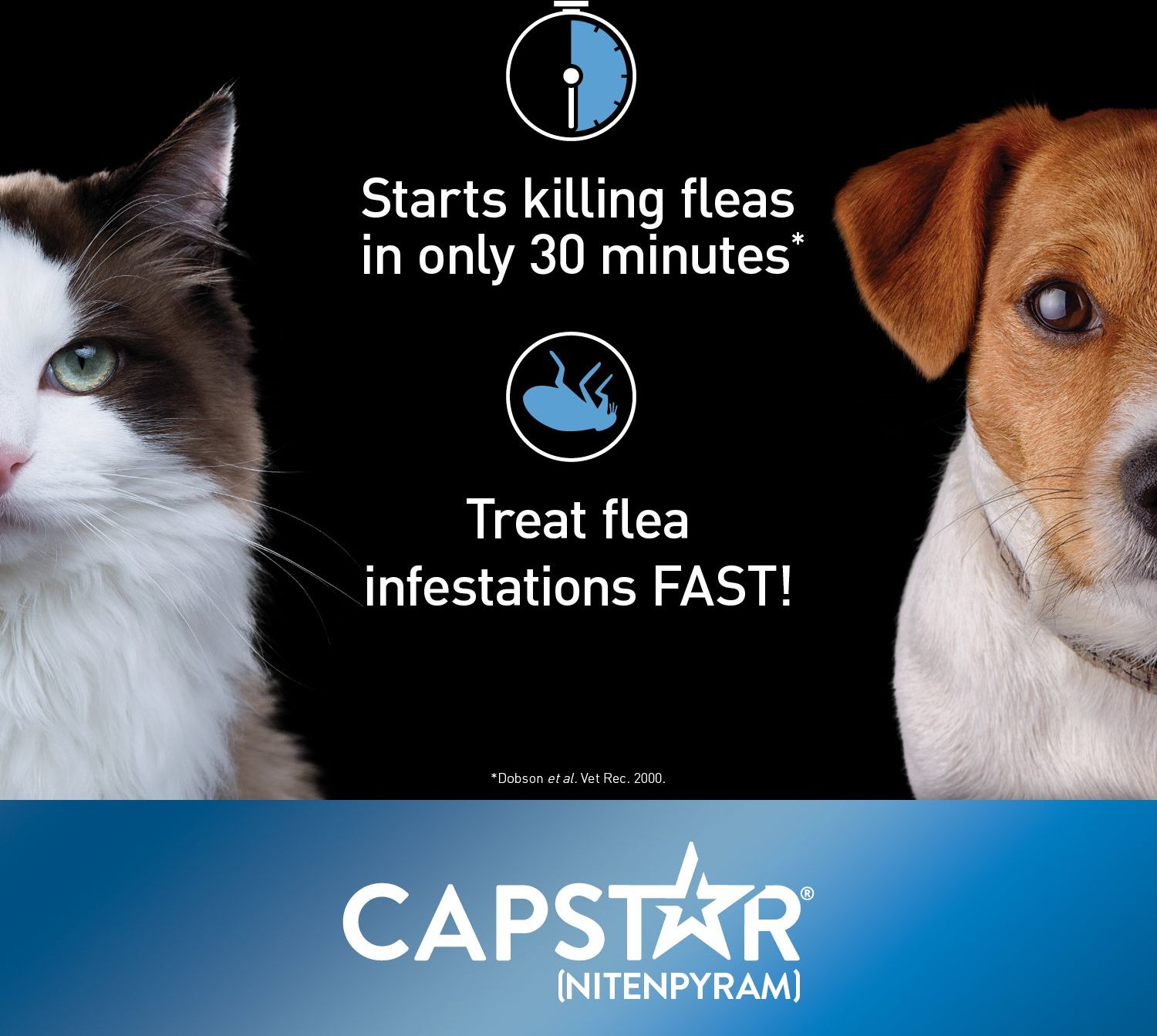 CAPSTAR Daily Oral Flea Treatment for Dogs Cats 1 to 11 kg 6