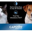 Show in main carousel: Capstar Daily Oral Flea Treatment for Dogs & Cats, 1 to 11 kg, 6 doses slide 3 of 8
