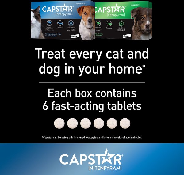 Show full view: Capstar Daily Oral Flea Treatment for Dogs & Cats, 1 to 11 kg, 6 doses slide 6 of 8