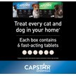 Show in main carousel: Capstar Daily Oral Flea Treatment for Dogs & Cats, 1 to 11 kg, 6 doses slide 6 of 8