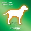 Show in main carousel: Capstar Daily Oral Flea Treatment for Dogs, 11 to 57 kg, 6 doses slide 2 of 7