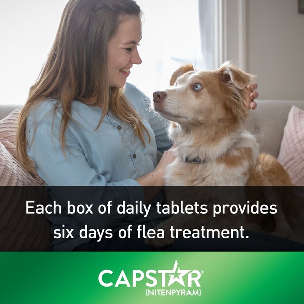 Show full view: Capstar Daily Oral Flea Treatment for Dogs, 11 to 57 kg, 6 doses slide 5 of 7