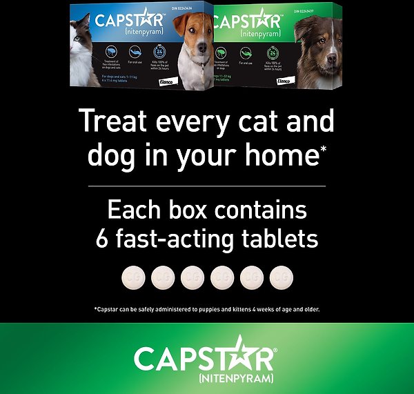 Show full view: Capstar Daily Oral Flea Treatment for Dogs, 11 to 57 kg, 6 doses slide 6 of 7