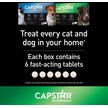 Show in main carousel: Capstar Daily Oral Flea Treatment for Dogs, 11 to 57 kg, 6 doses slide 6 of 7
