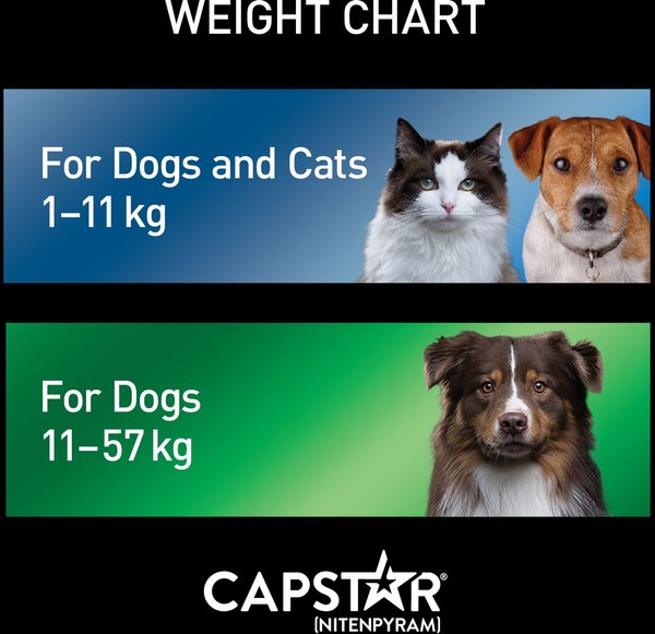 Show full view: Capstar Daily Oral Flea Treatment for Dogs, 11 to 57 kg, 6 doses slide 7 of 7