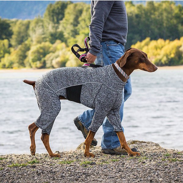 Show full view: Kurgo Stowe Base Layer Dog Sweater, Medium slide 5 of 7