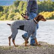 Show in main carousel: Kurgo Stowe Base Layer Dog Sweater, Medium slide 5 of 7
