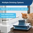 Show in main carousel: PetSafe Drinkwell Pagoda Dog & Cat Fountain, 2.1-L, Blue slide 4 of 12