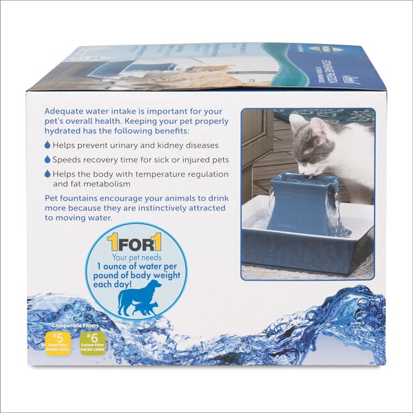 Show full view: PetSafe Drinkwell Pagoda Dog & Cat Fountain, 2.1-L, Blue slide 9 of 12