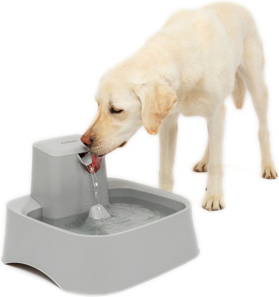 Pet drinking deals fountain canada