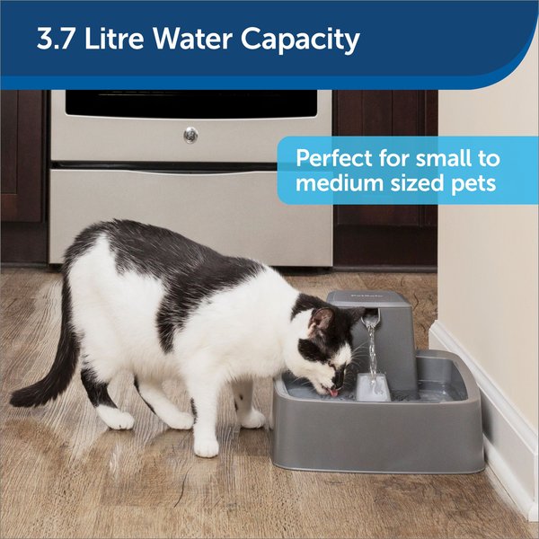 Show full view: PetSafe Drinkwell Cat & Dog Waterer, 3.7-L slide 4 of 9