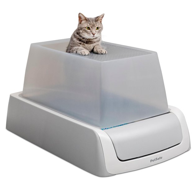 Chewy automatic shop cat litter box