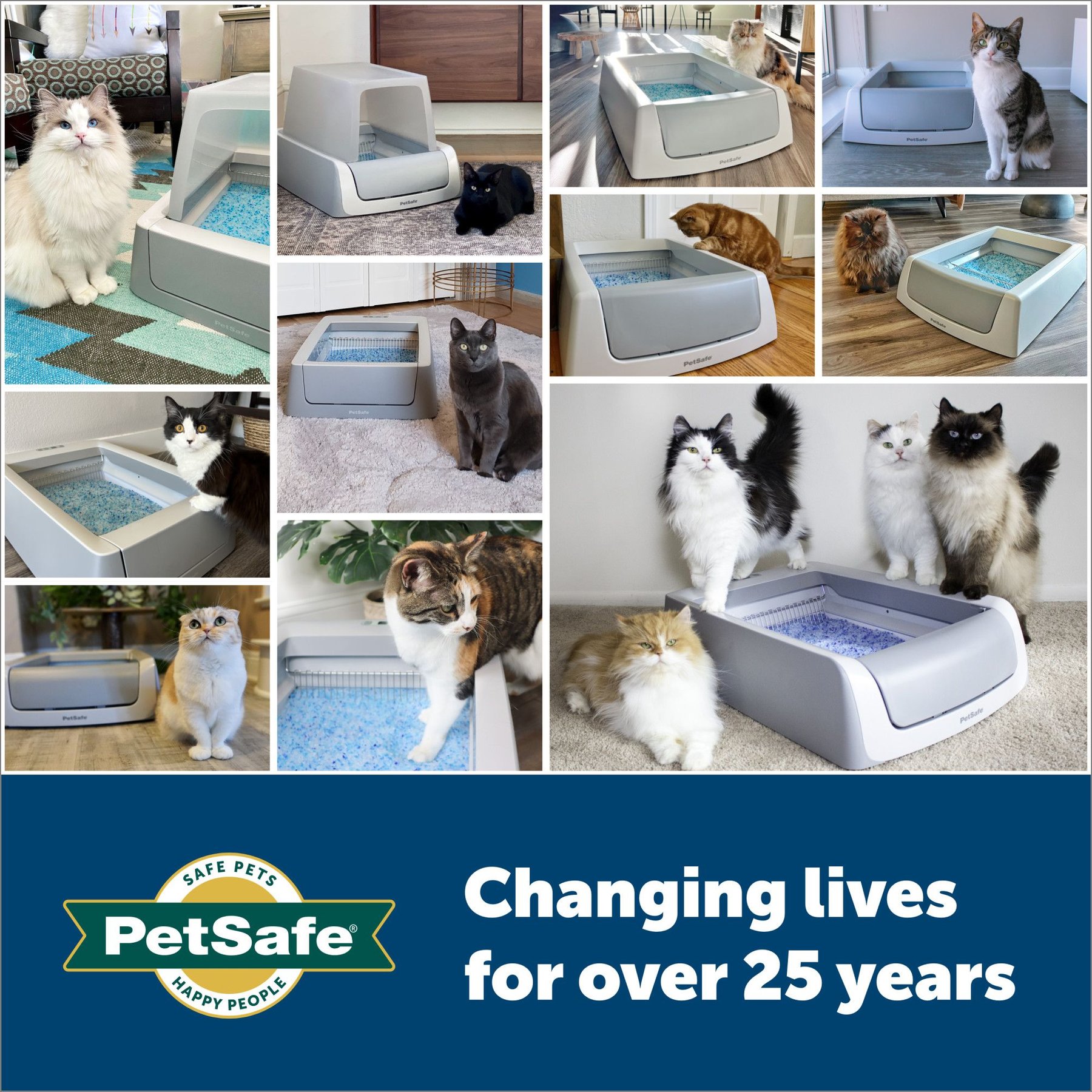 Petsafe on sale kitty litter