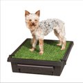 PetSafe Pet Loo Portable Indoor & Outdoor Dog Potty, Small