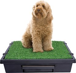 PetSafe Pet Loo Portable Indoor & Outdoor Dog Potty, Medium