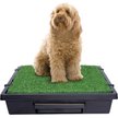 Show in main carousel: PetSafe Pet Loo Portable Indoor & Outdoor Dog Potty, Medium slide 1 of 11