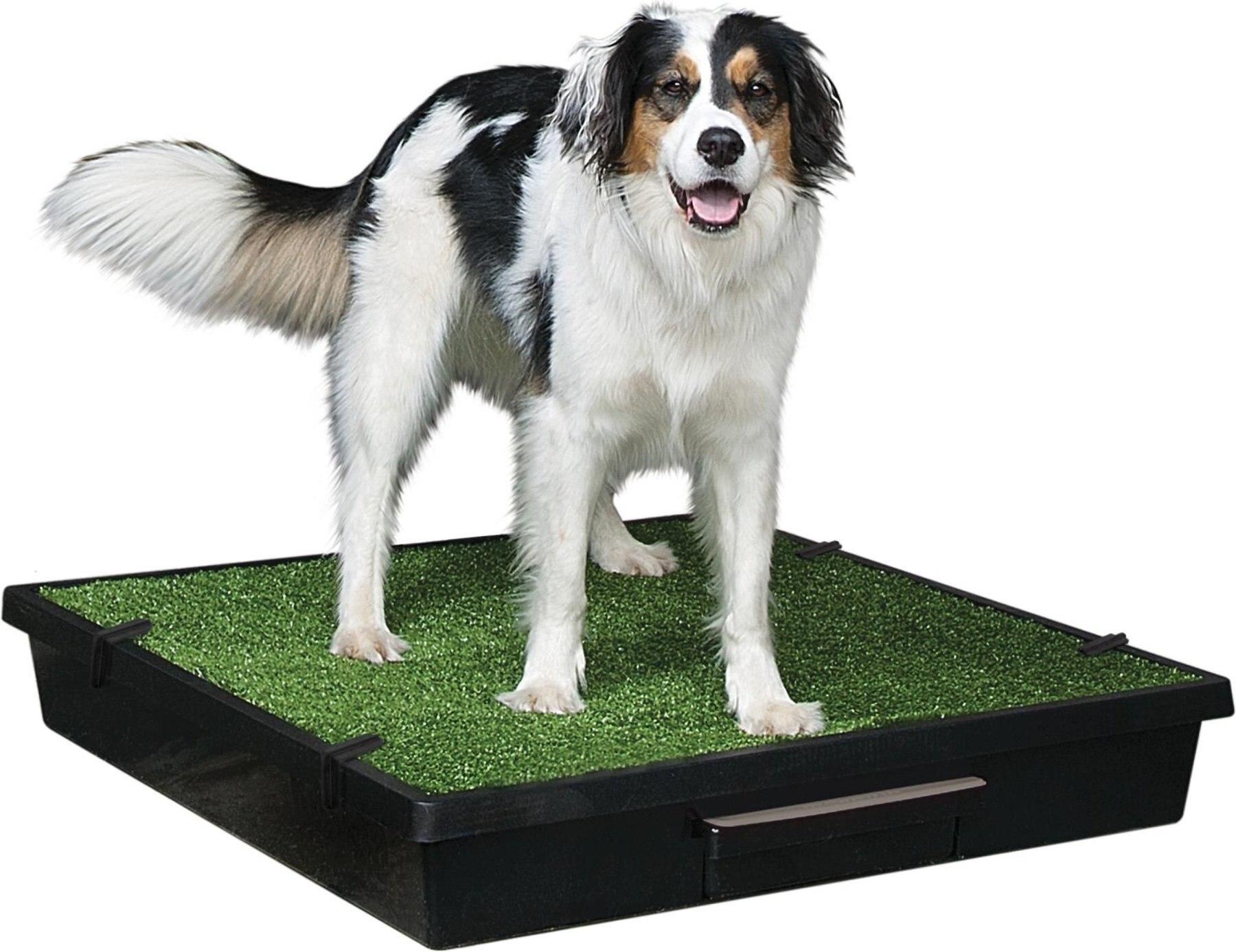 Hompet Dog Toilet Indoor Puppy Training Pad, Dog Potty Pet Training Grass  Mat, Removable Waste Tray for Easier Clean Up, Artificial Turf, 25×20