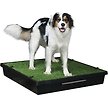 Show in main carousel: PetSafe Pet Loo Portable Indoor & Outdoor Dog Potty, Large slide 1 of 11