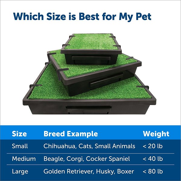 Show full view: PetSafe Pet Loo Portable Indoor & Outdoor Dog Potty, Large slide 5 of 11