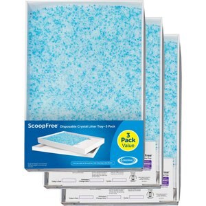 Scoopfree 2024 permanent tray