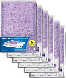 PetSafe ScoopFree Complete Disposable Lavender Crystal Cat Litter Trays, 6 count