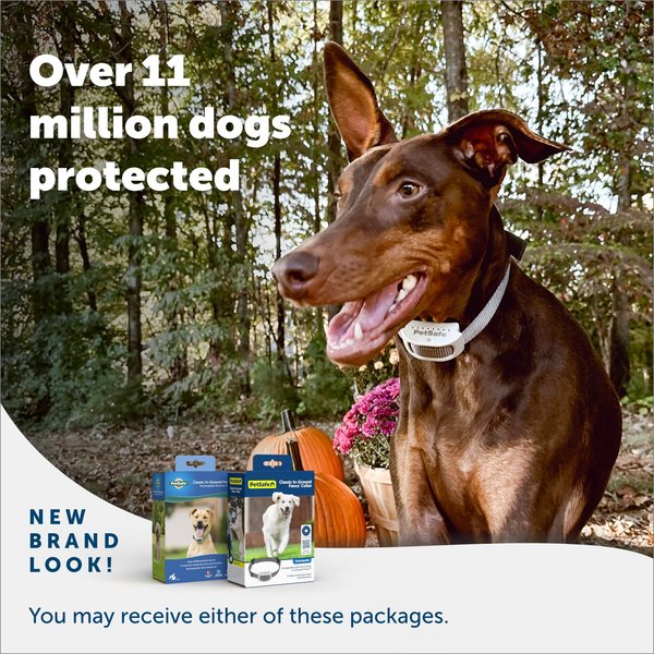 Show full view: PetSafe Classic In-Ground Fence Rechargeable Receiver Dog & Cat Collar slide 6 of 8