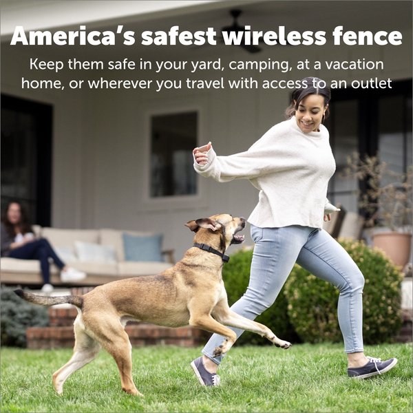 Show full view: PetSafe Stay+Play Wireless Fence Receiver Dog Collar slide 5 of 8