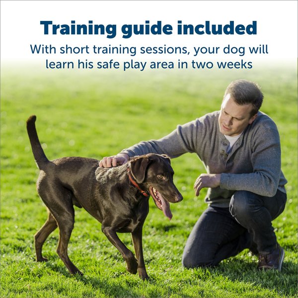 Show full view: PetSafe Stubborn Dog Stay+Play Wireless Fence Receiver Dog Collar slide 4 of 7