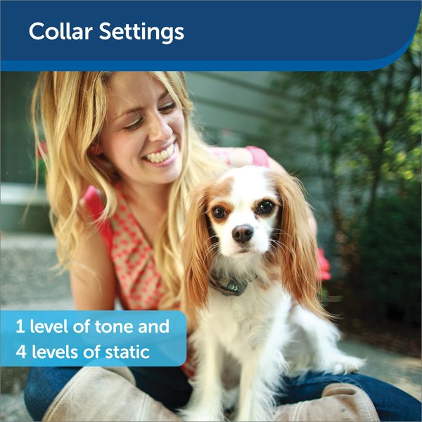 Show full view: PetSafe Elite Little Dog In-Ground Fence Receiver Dog Collar slide 4 of 9