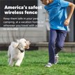 Show in main carousel: PetSafe Stay & Play Wireless Dog & Cat Fence slide 5 of 11