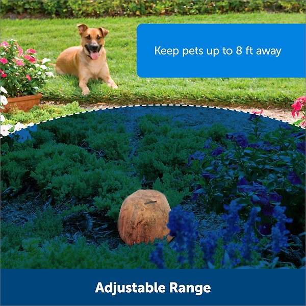 Show full view: PetSafe Pawz Away Outdoor Dog & Cat Barrier slide 3 of 11