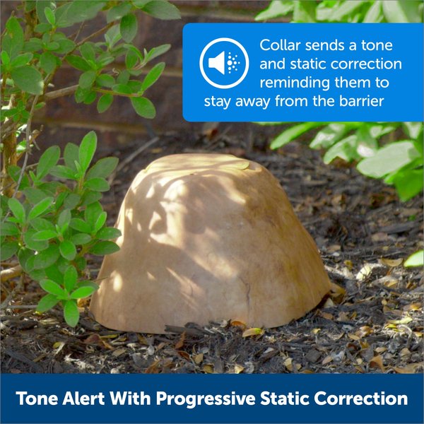 Show full view: PetSafe Pawz Away Outdoor Dog & Cat Barrier slide 5 of 11