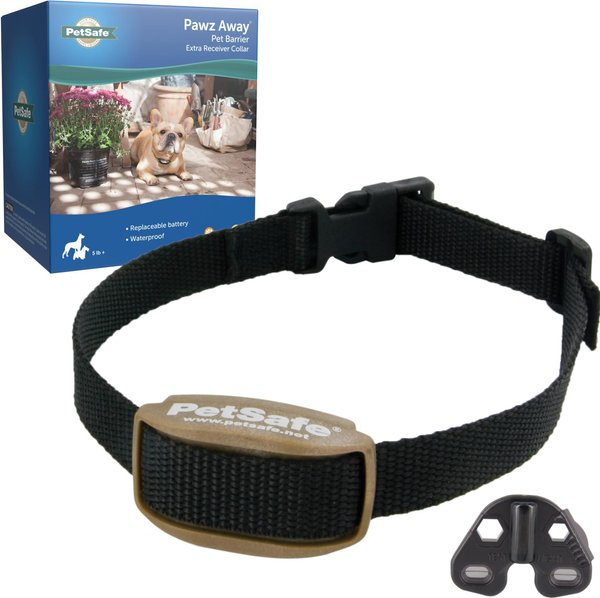 Indoor dog collar best sale