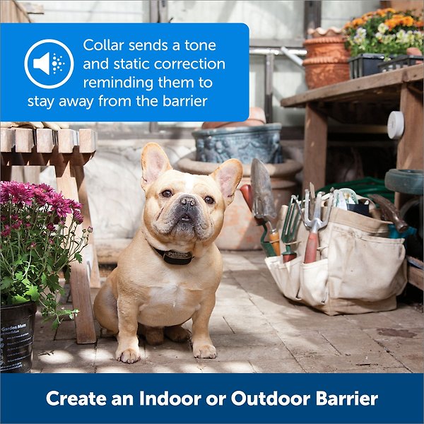 Show full view: PetSafe Pawz Away Extra Indoor/Outdoor Dog & Cat Collar slide 5 of 9