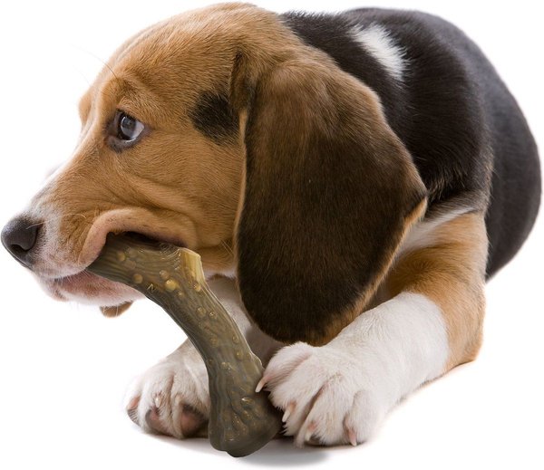 Show full view: Nylabone Antler Alternative Power Chew Venison Flavor Dog Toy, Medium slide 9 of 12