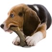Show in main carousel: Nylabone Antler Alternative Power Chew Venison Flavor Dog Toy, Medium slide 9 of 12