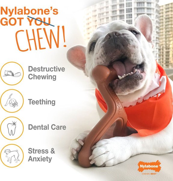 Show full view: Nylabone Power Chew Bison Bone Alternative Nylon Chew Dog Toy slide 4 of 11