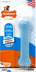 Nylabone Puppy Petite Dental Puppy Chew Toy