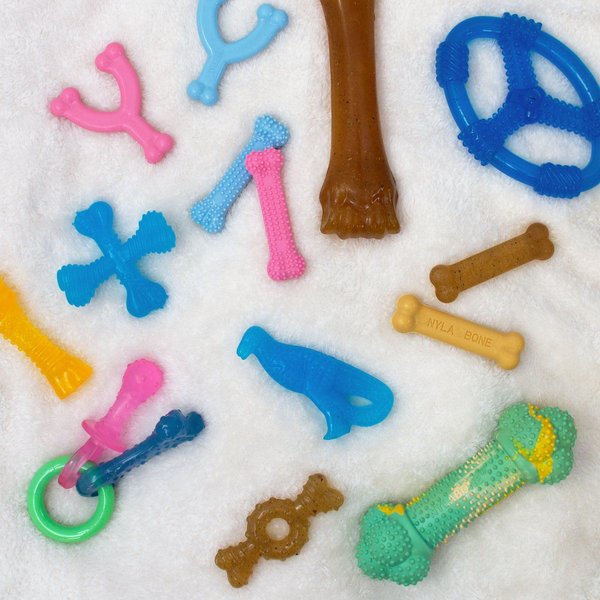 Show full view: Nylabone Puppy Petite Dental Puppy Chew Toy slide 5 of 12