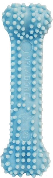 Show full view: Nylabone Puppy Petite Dental Puppy Chew Toy slide 7 of 12