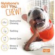 Show in main carousel: Nylabone Power Chew Jumbo Drumstick Turkey & Sweet Potato Chew Dog Toy slide 2 of 10
