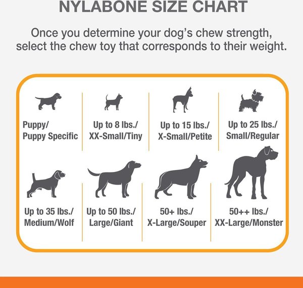 Show full view: Nylabone Power Chew Jumbo Drumstick Turkey & Sweet Potato Chew Dog Toy slide 5 of 10