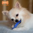 Show in main carousel: Nylabone FlexiChew Dental Dog Toy, 3 count, 3 count slide 2 of 9