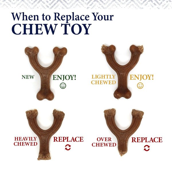 Show full view: Nylabone Gourmet Style Strong Chew Wishbone Chicken Chew Dog Toy, Small/Regular slide 6 of 10