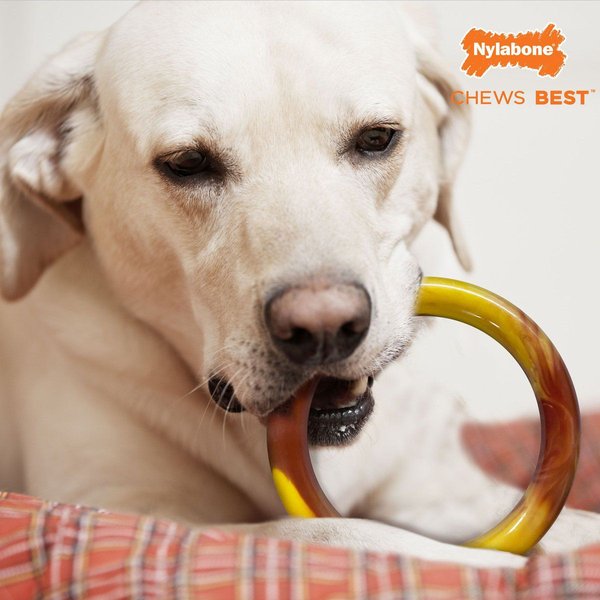 Show full view: Nylabone Power Chew Smooth Ring Bacon Cheeseburger Flavor Chew Dog Toy slide 6 of 10
