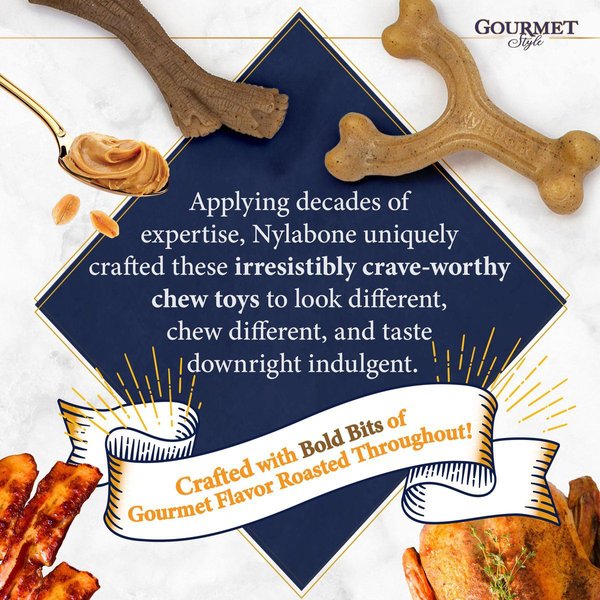 Show full view: Nylabone Gourmet Style Strong Chew Stick Peanut Butter Chew Dog Toy, Medium/Wolf slide 8 of 10